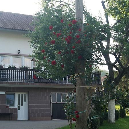 Apartment Drago Rakovica Extérieur photo